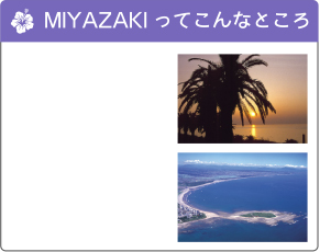 MIYAZAKIってこんなところ